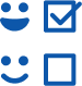 survey icon